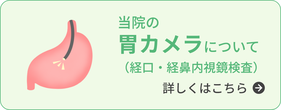 当院の胃カメラ（経口・経鼻内視鏡検査）について